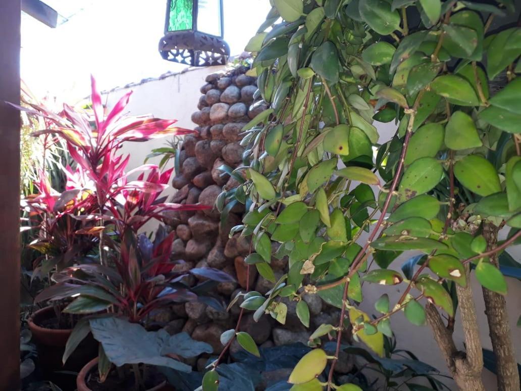 Pousada Naus de Paraty Araquari Exterior foto